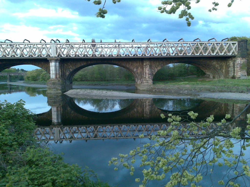 View of the bridge from The Continental by David-Newbold