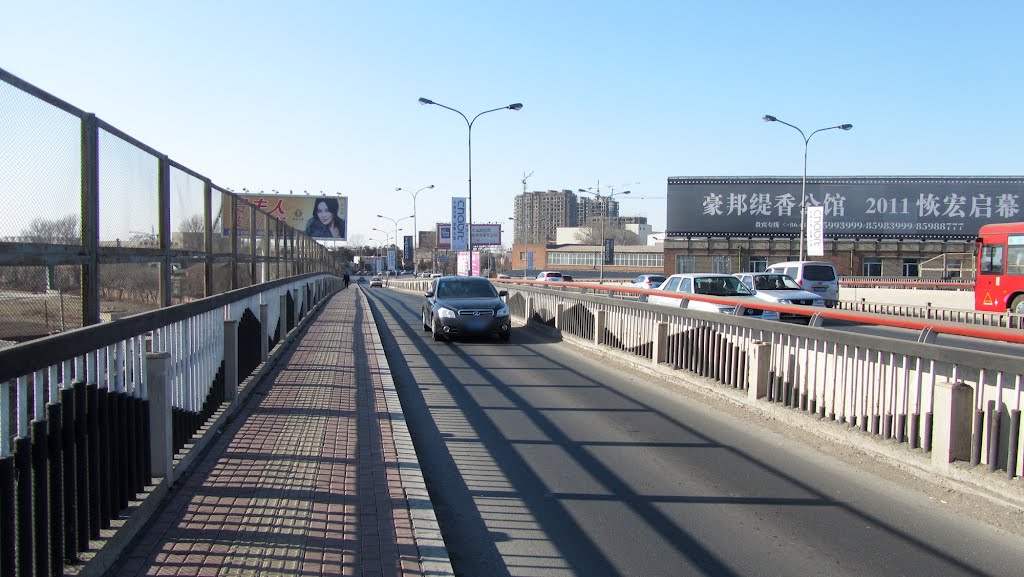 跨越长春南站的立交桥An Overpass Across Over Changchun South Station by wanghongtao999