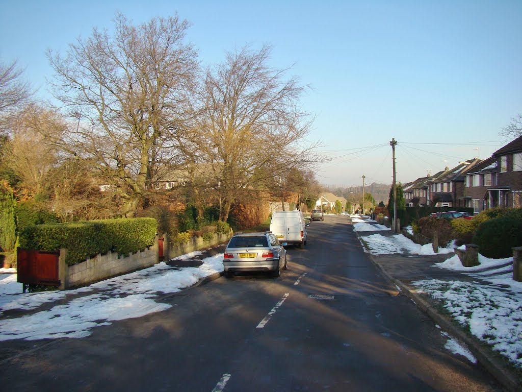 Wintry Rosamond Drive, Totley Rise, Sheffield S17 by sixxsix