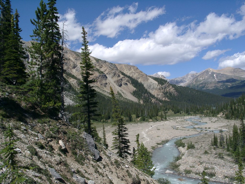 Lower part of Bow Glacier Creek Valley by Edward Kluk