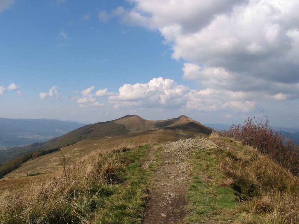 Połonina Wetlińska; widok na Osadzki Wierch i Roh by robertk7