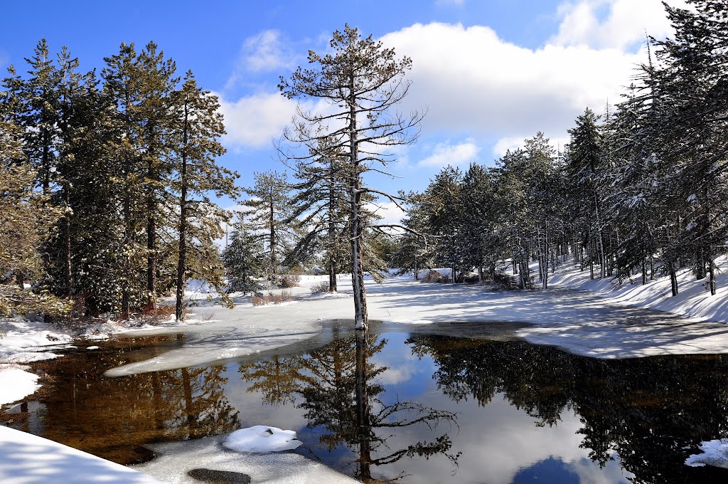 Winter reflections by LeenieforLena