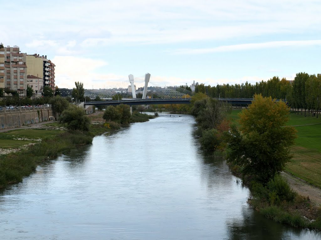 Rio Segre, a su paso por Lleida by destralerdelbruc