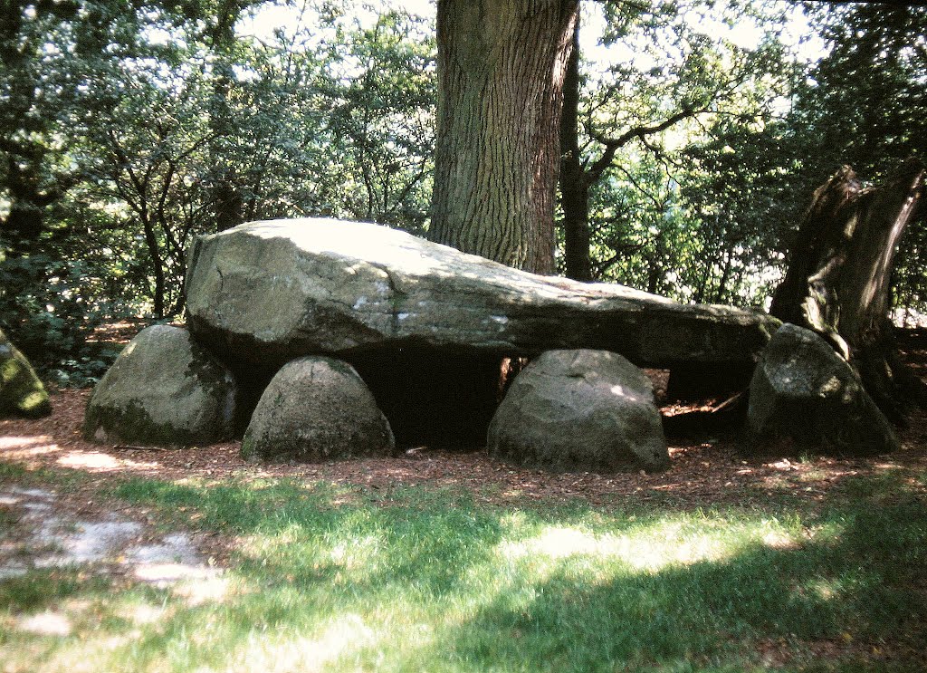 Megalithgräber in Engelmannsbäke bei Ahlhorn (1997) by Wensky