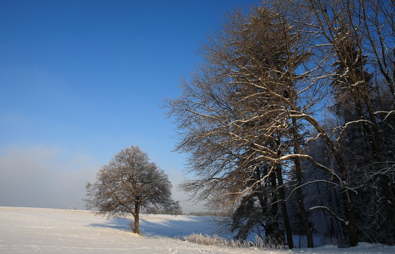 Sallingberg entlang der Große Krems nach Armschlag, Waldviertel by fuchur