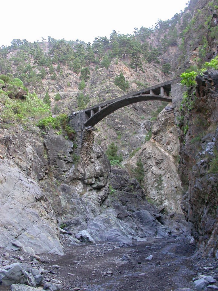 Barranco de Las Angustias by Celestino Díaz