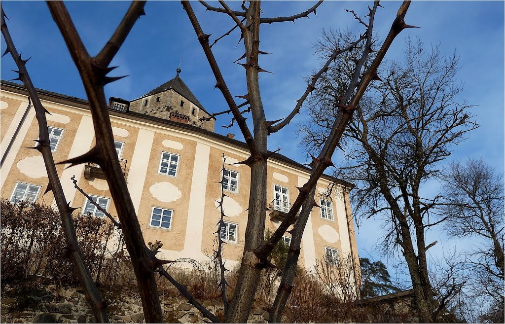 Schloss Neuhaus by Steidl Normann