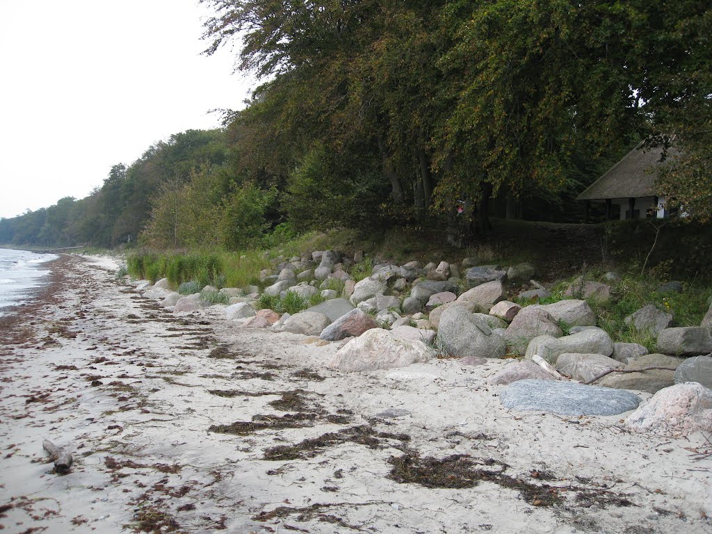 Stranden ved Lysthuset i Corselitze Skoven by Ejlif Pedersen