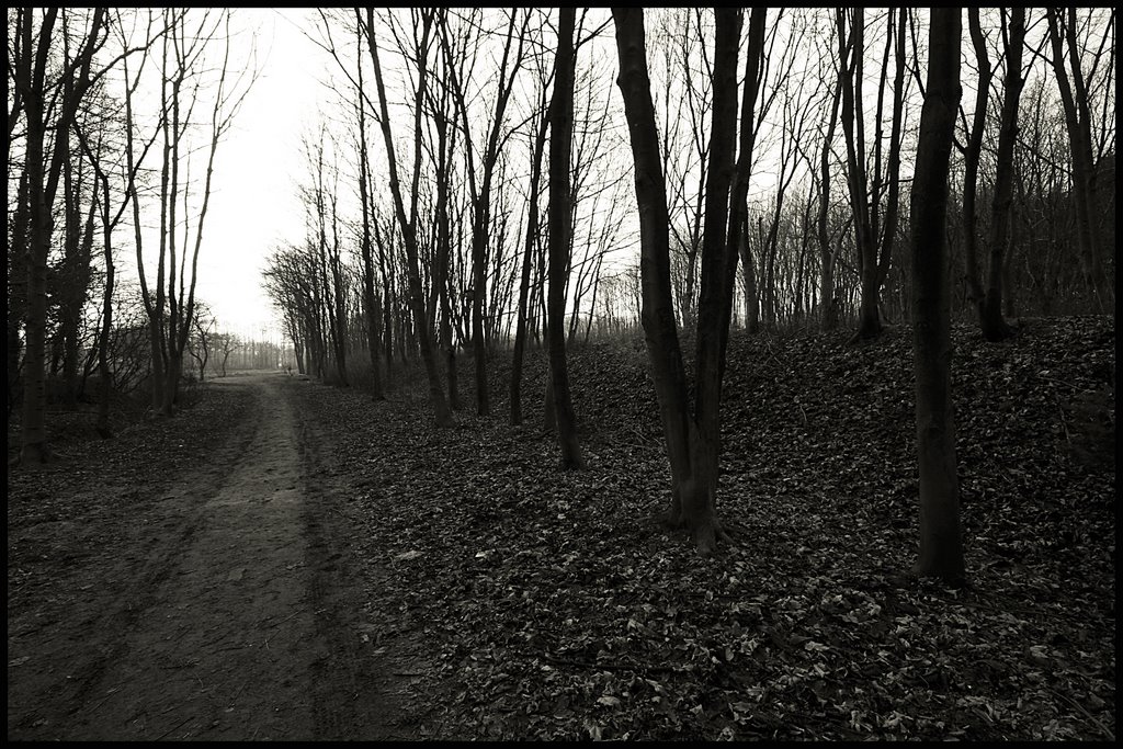 Heidmühle, Frisia (Friesland) by © Carsten