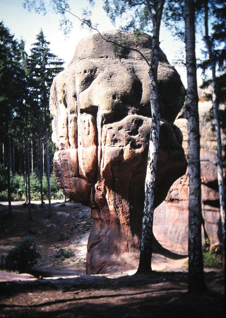 Zittauer Berge (2003) by Wensky