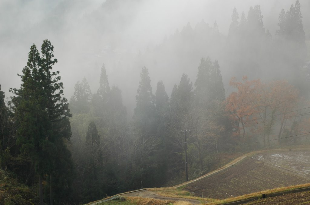 Foggy fields, もうひとつの五箇山 by nots