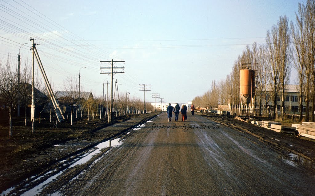 Straße Richtung Talnoje - Frühjahr 1978 by Holger Krebs