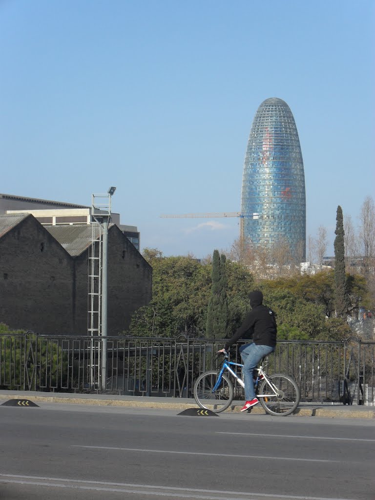 Torre agbar-barcelona by gerardo alberto nuñez