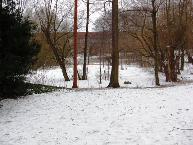 Goebenteich im winterlichen Stadtpark Steglitz by B.C.Troetschler