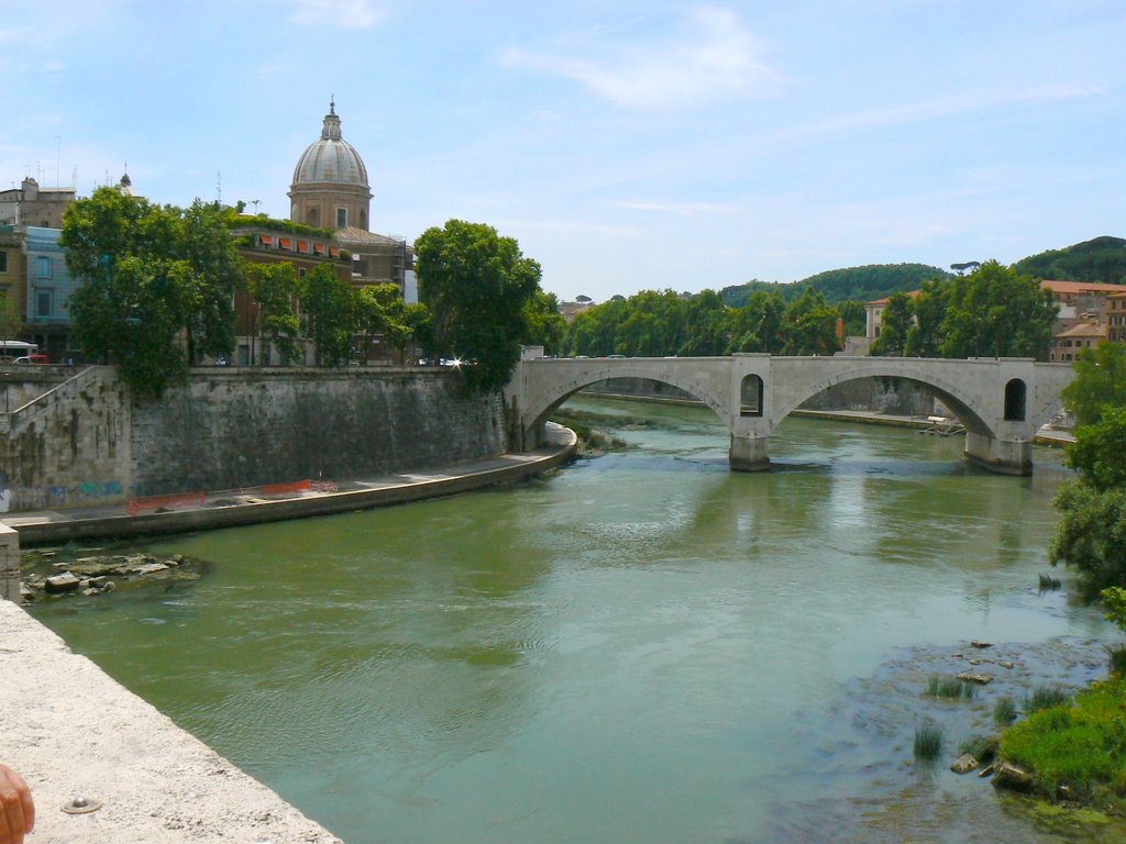 Tiber,Tevere. Roma by luisde