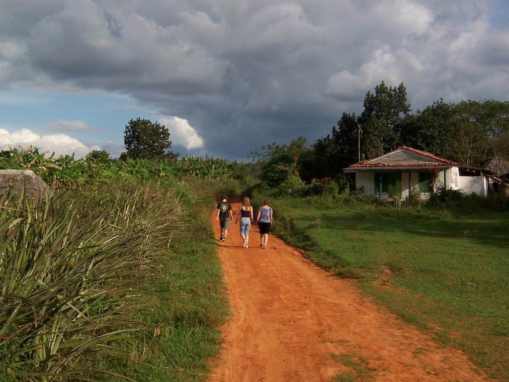 Vinales by facanos