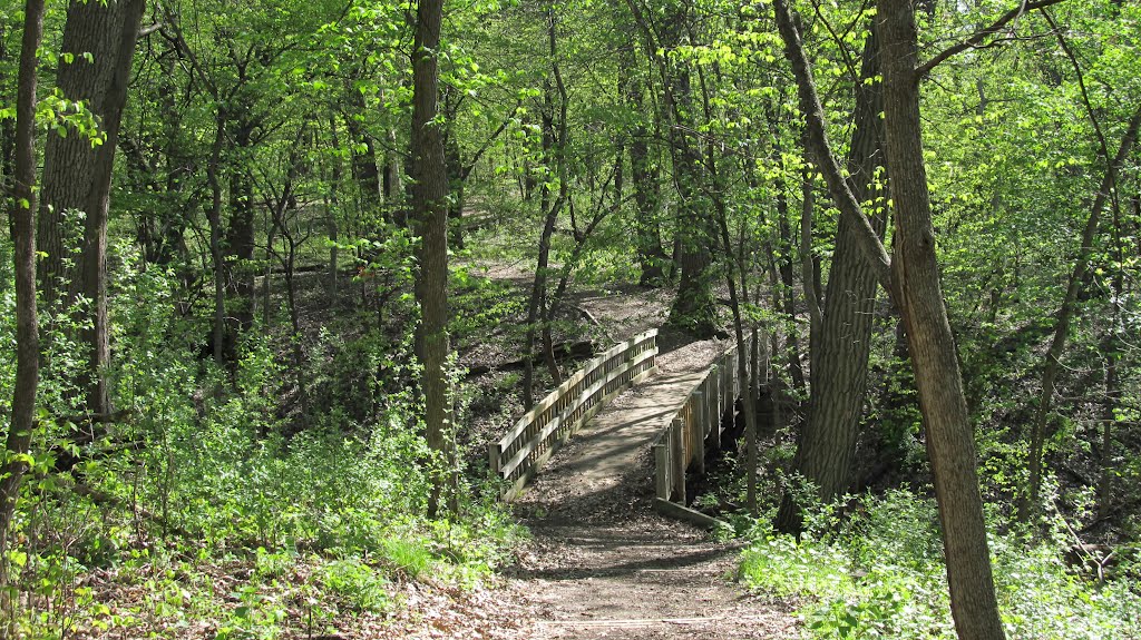 May 2011 - St. Louis Park, Minnesota. Wooden bridge in Westwood Hills Nature Center. by BRIAN ZINNEL