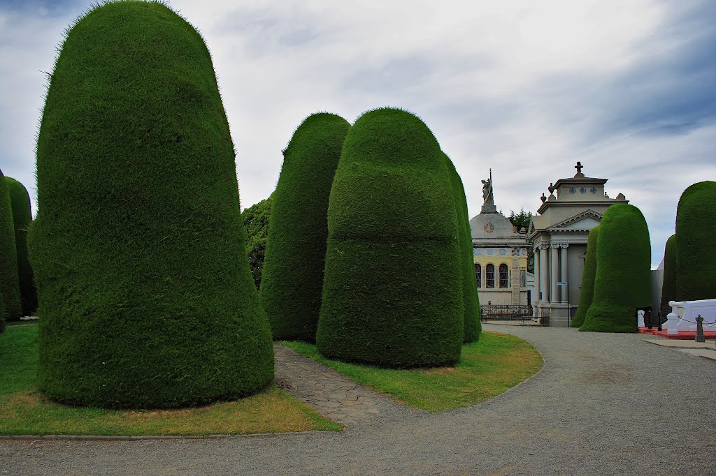 Cementerio de Punta Arenas. by Octavio Aldea