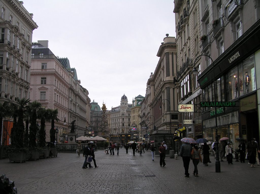 Thr Graben, Vienna by IvanA