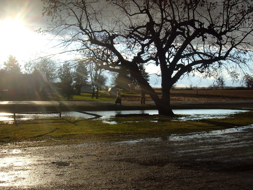 After the storm by justin.yoder