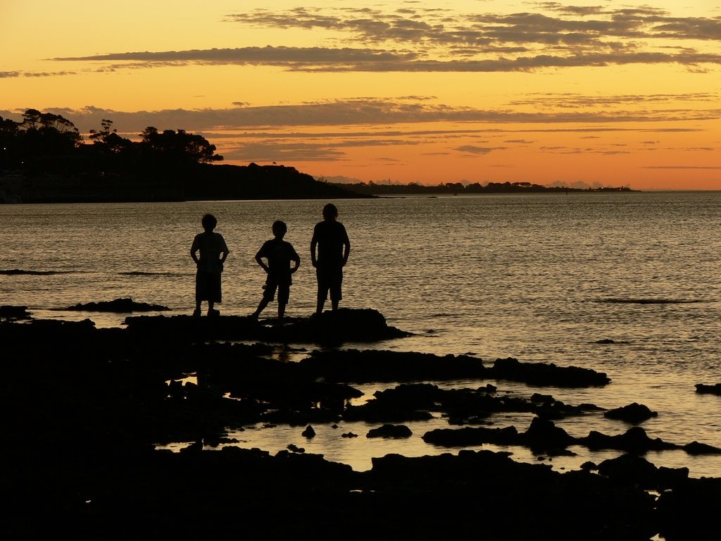 3 of 4 at Dusk ( Pelican Point ) by Craig Ward