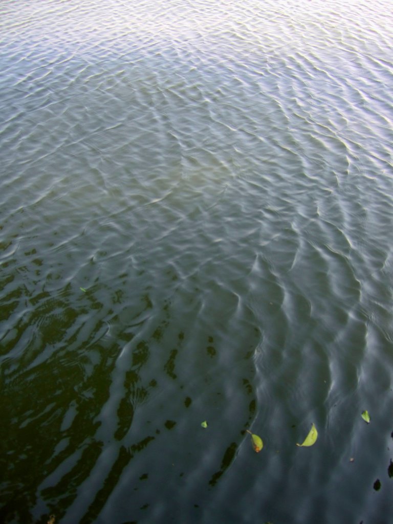 Hangzhou China West lake by Saveriu Giacometti