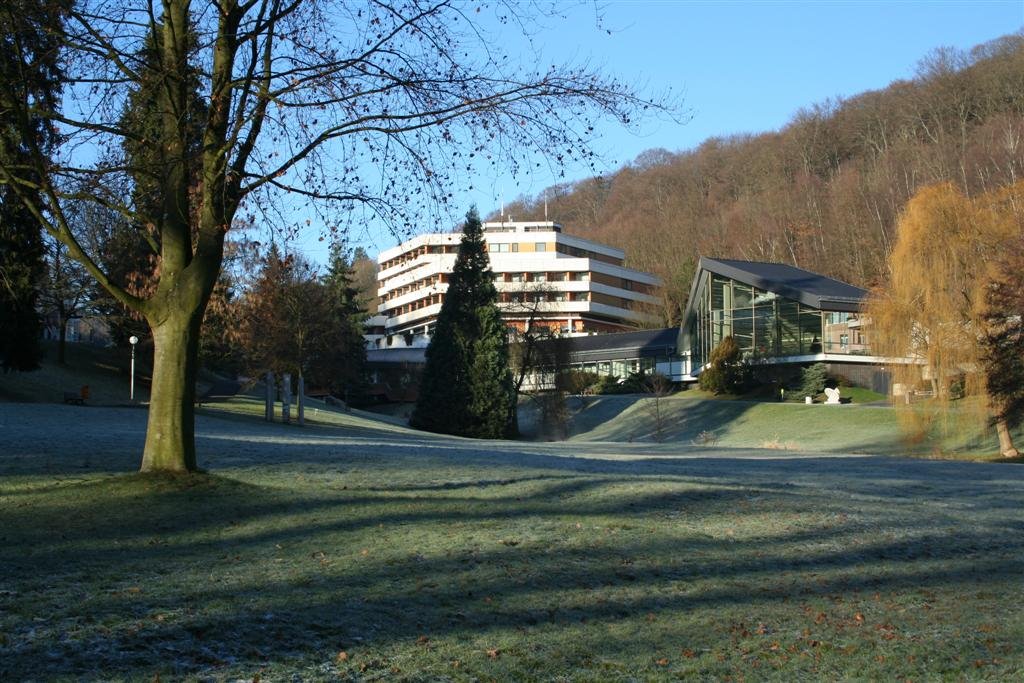 Schlangenbad, Kurpark in Winter by © Wim