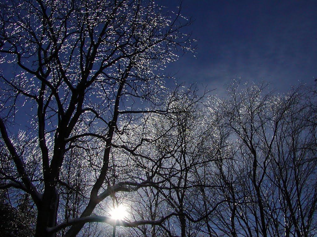 Buckeye Ice Storm by DBPicking