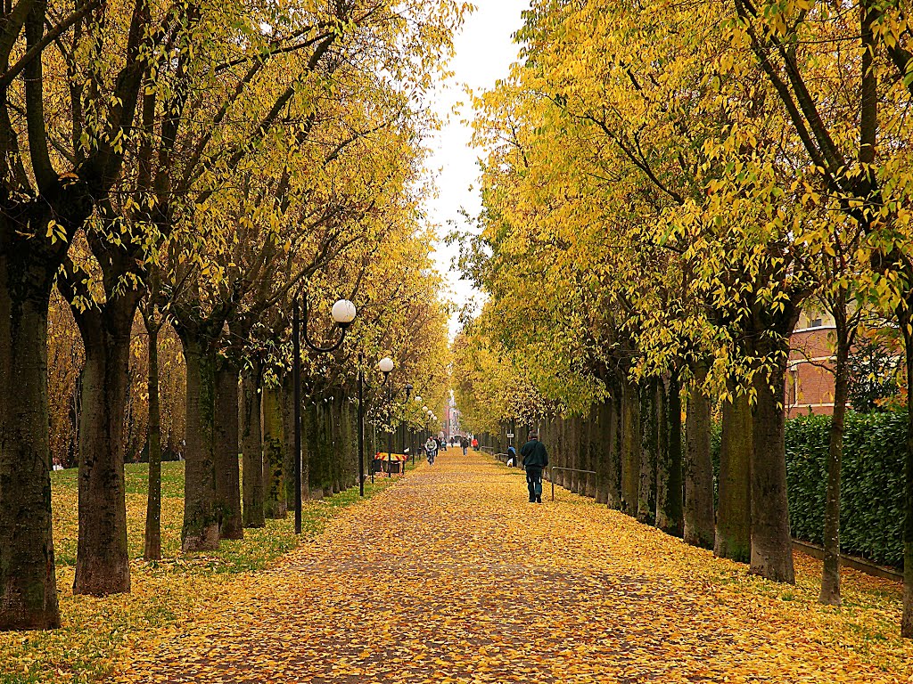 Cento (FE) : sinfonia d’autunno: Viale dei Cappuccini by Pical