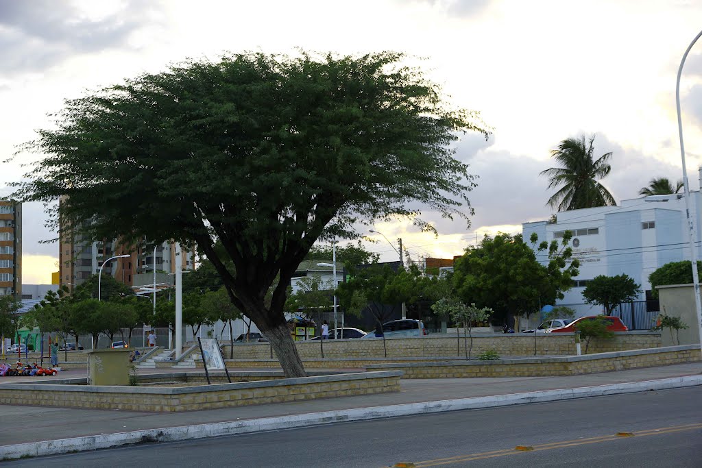 Praça ao lado do Parque das Crianças by Wilson Alcaras