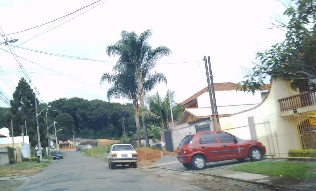 A lei de trânsito é desrespeitada nos bairros de Curitiba. by curitiba.seculo21