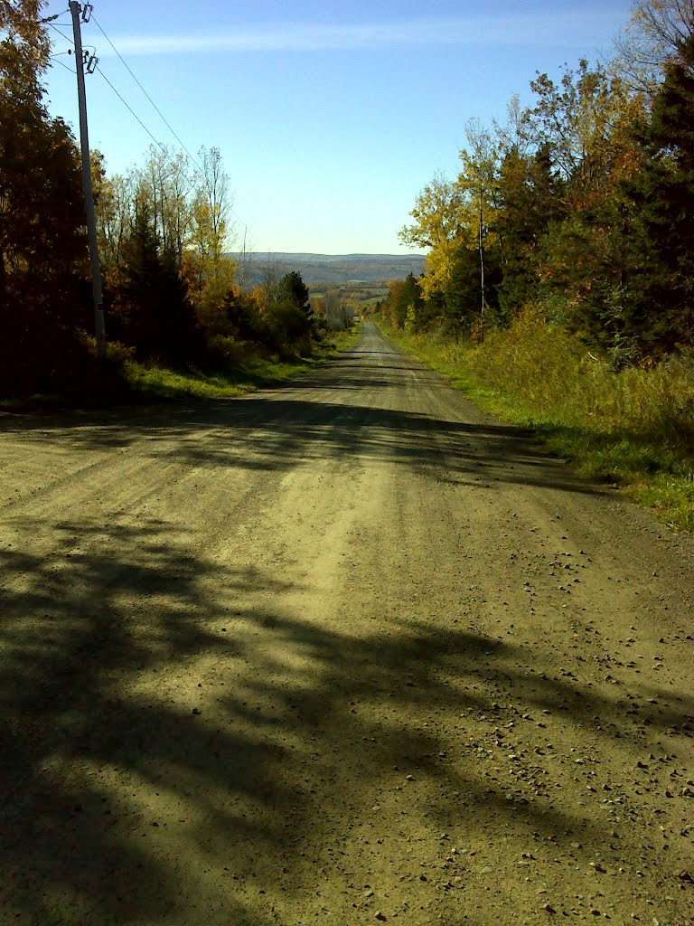 FLT B2 Mile 9.7 View south from Dunn Road by javajoe6