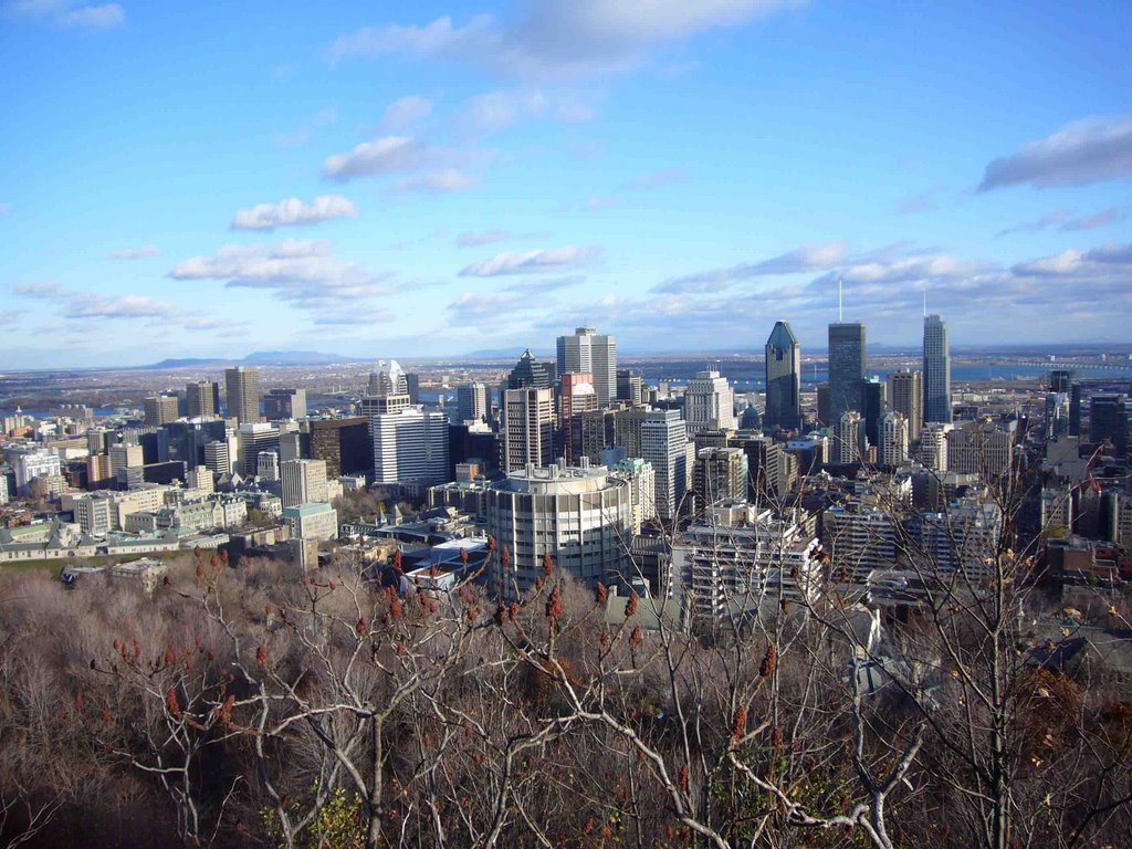 Montreal Skyline from Mont Royal, Montreal, Quebec, Canada by Ioannis Grigoriadis