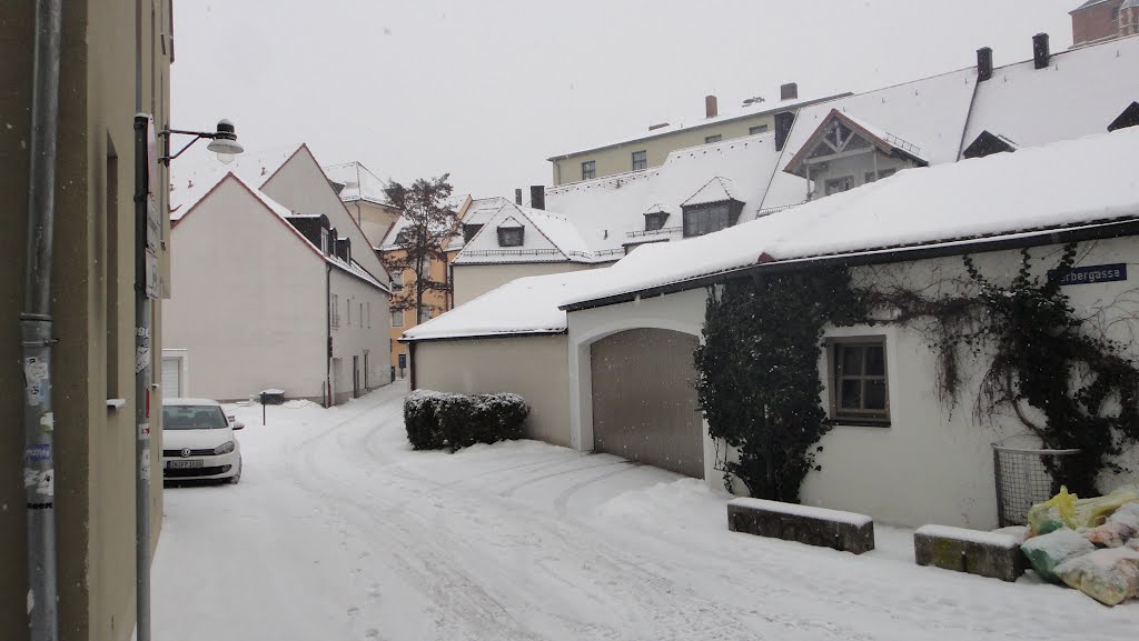 Snowy Ingolstadt panorama by Diego Giuseppe