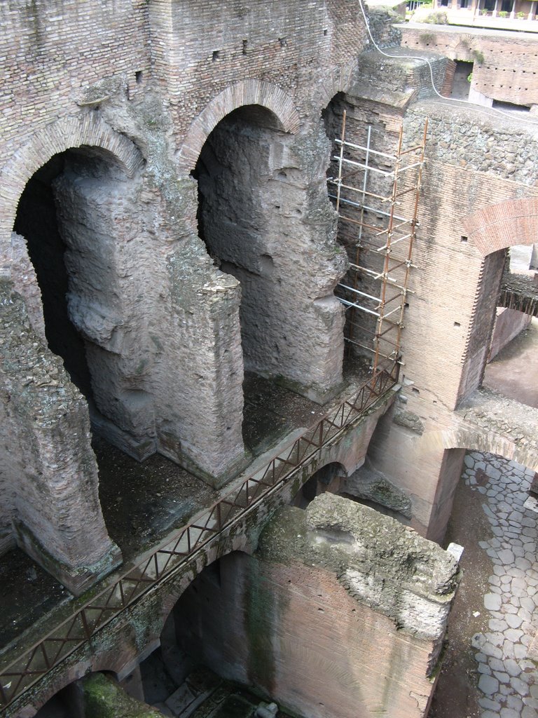 Rome - Domus Tiberiana by Laurent Guyard