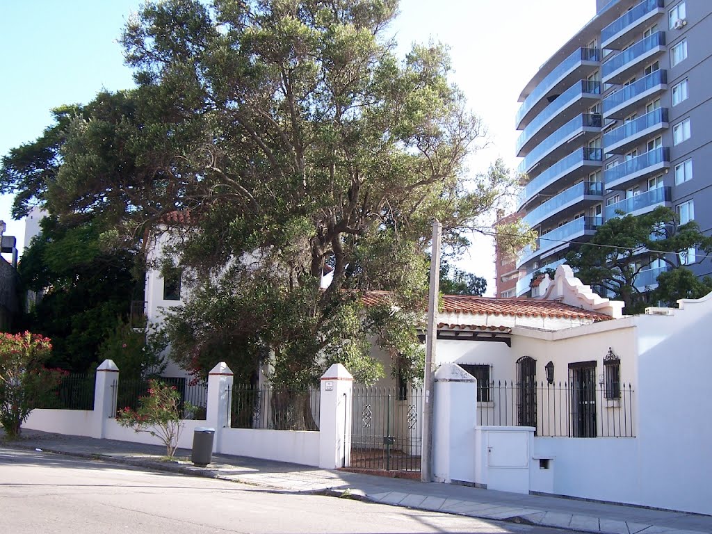 Museo Zorrilla desde calle J. L. Zorrilla de S. M. by Ed. Rodríguez Prati