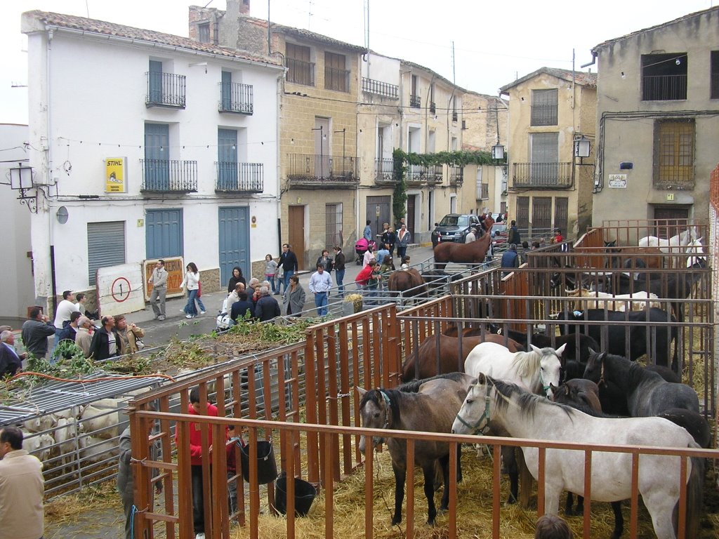 Muestra ganado Feria Tradiciones by mdonate