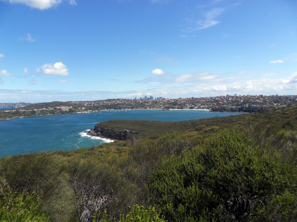 View on Port Jackson from Sydney Harbour National Park by Desc85