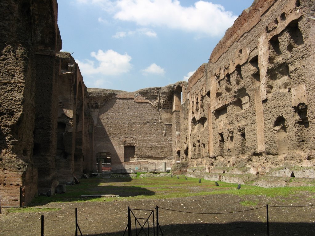 Rome - Thermes de Caracalla-Natatio by Laurent Guyard