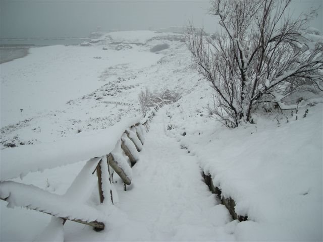 Neve in punta... by Rino Liber