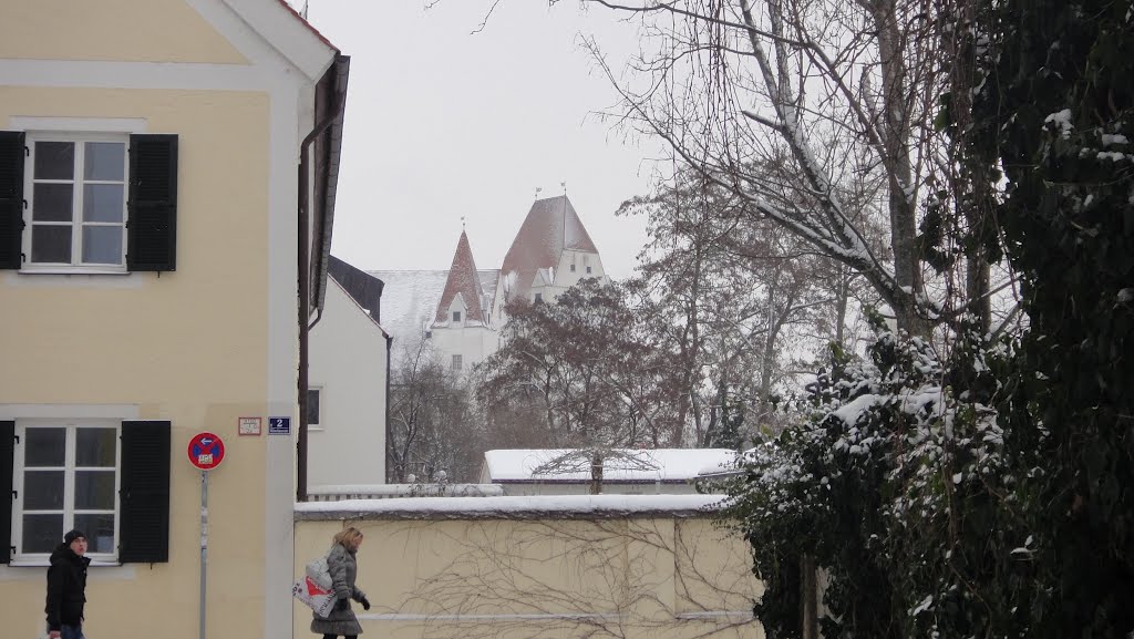 Roof of the "Neue Schloss" - Ingolstadt by Diego Giuseppe