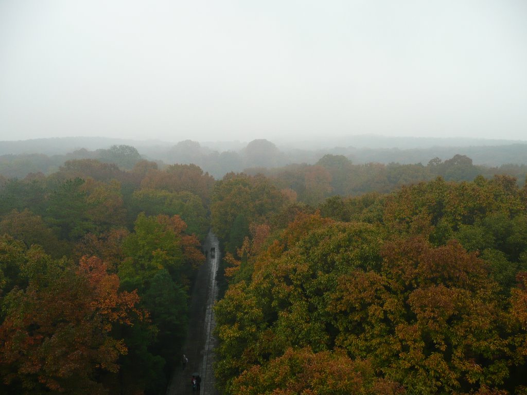 View from pagode in Purple Mountains during Autumn by flogerold