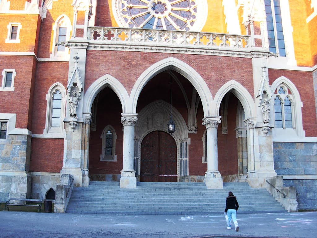 Herz Jesu Kirche, Graz - Austria by Rade1951