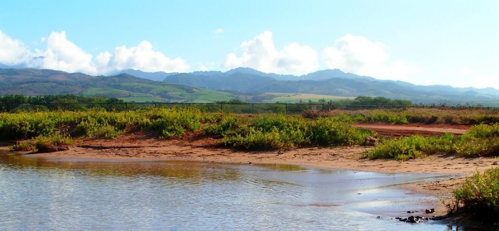 View toward Hanapepe Heights from Salt Pond Beach, Kaua'i, HI. 830am, aug 28, 2005 by Tom Dudones