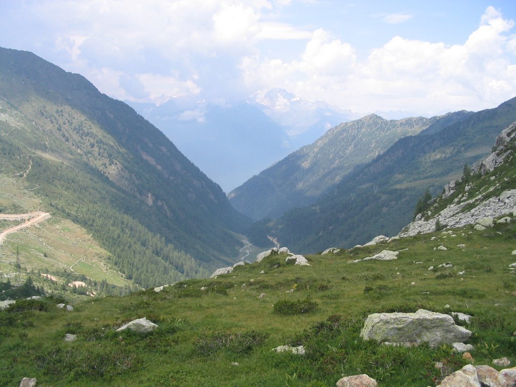 Val Madre dal Passo Dordona by Stefabo