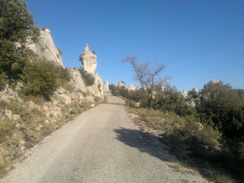 La Roquebrussanne - Route d'accès montagne de la Loube by GEOPIX