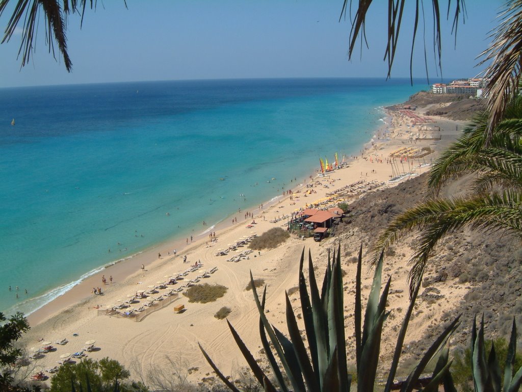 [Stand Esquinzo - Fuerteventura by maweb01