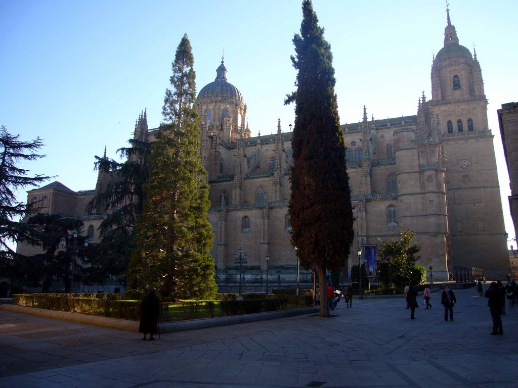 Catedral by jmriomo