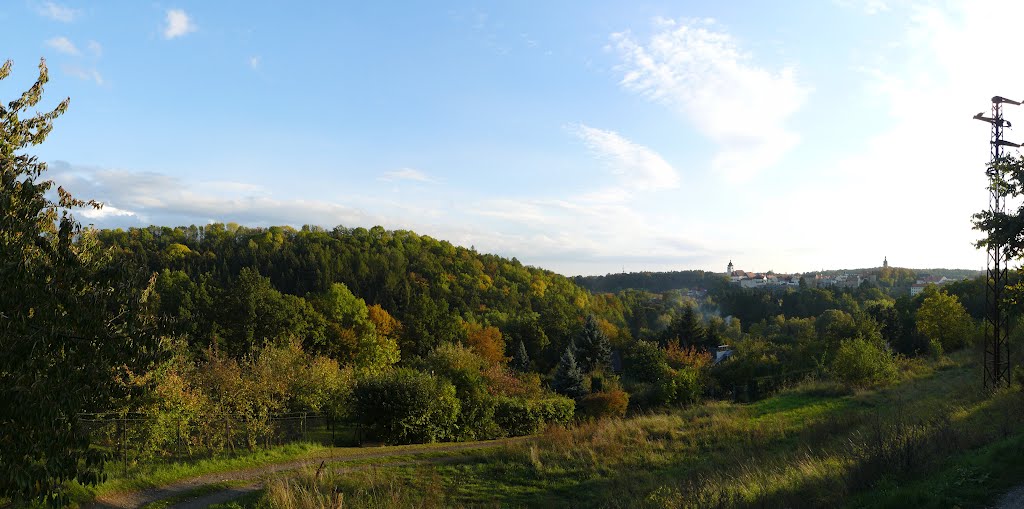 Nové Město nad Metují by Zdeněk Prchal