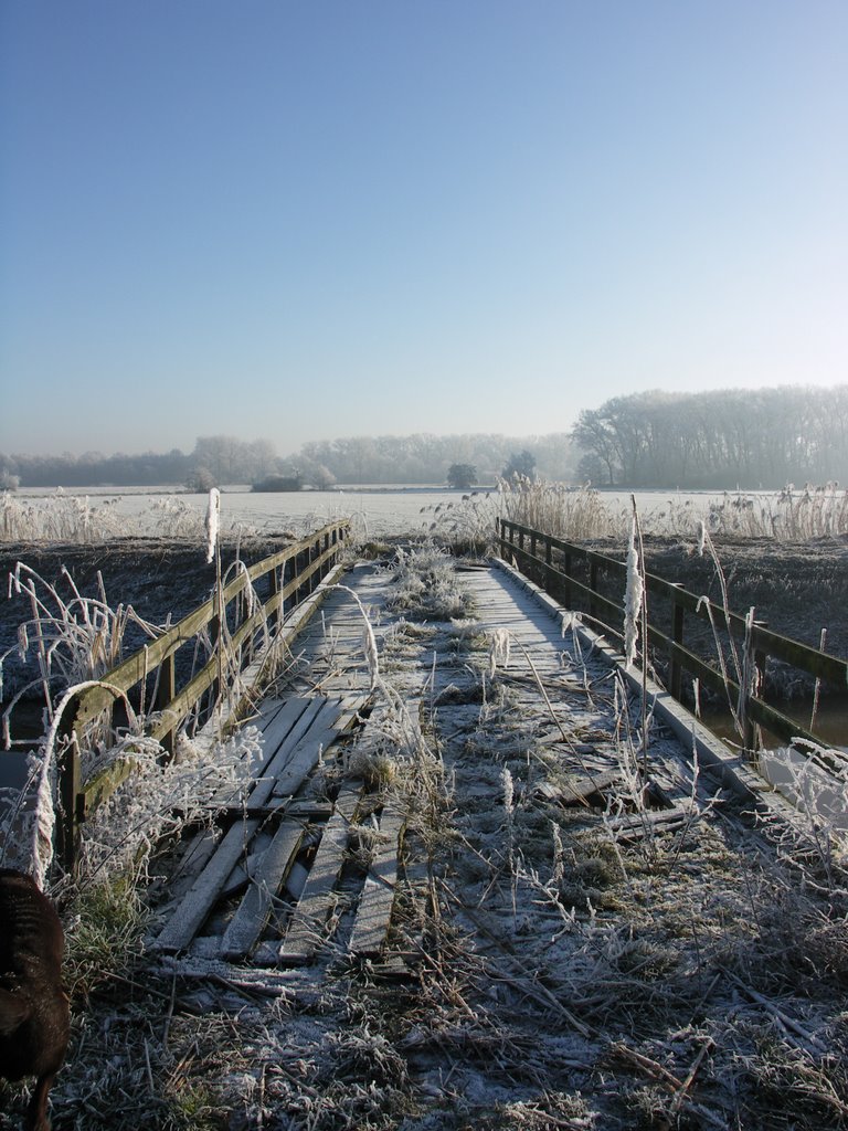 Old famers bridge near Heeswijk by Remco van D